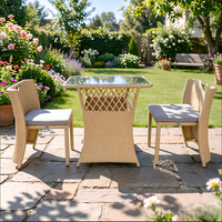 Nouvelle Arrivée 2026 : Ensemble Table et Chaises en Rotin d'Extérieur, Vente en Gros Usine, Ensemble de Jardin et Balcon Imperméable pour Maison, Café, Restaurant