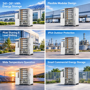 Sistema de Almacenamiento de Energía en Gabinete Exterior con Refrigeración Líquida Todo en Uno, 125kW 261kWh, con <span class=keywords><strong>Inversor</strong></span> Híbrido para Uso Comercial - Product Image 6