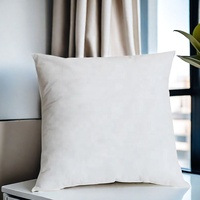 Coussin décoratif en plumes de canard grises douces de luxe, pour canapé et lit