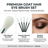 Ensemble professionnel de 6 pinceaux pour les yeux, 100% poils de chèvre, pour estomper, estomper les plis, effet smoky, définir l'eyeliner, pinceaux de maquillage moelleux sans perte de poils