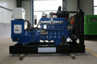 Générateur de puissance à moteur au biogaz de 80 kW 100 kVA homologué CE pour l'industrie avicole moderne, économique et efficace