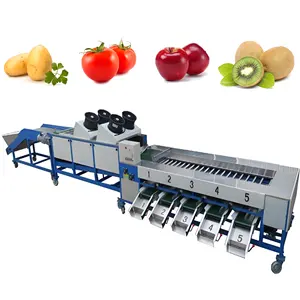 VBJX Potatoes Garlic Cherry Plum Dates Cashew Pineapple Sorter Sorting Grading Machine For Vegetable Fruit