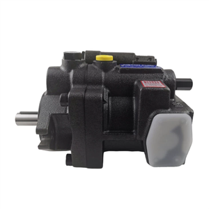 Pompe hydraulique série PVS PVS-1B-22N302-12 PVS-2B-35N0-12 PVS-2B-35N3-12 PVS-1B-22N3-12 PVS-2A-35N1-11 Pompe à piston - Product Image 4