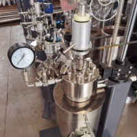 Autoclaves de Laboratorio con Cierre de Anillo de Presión de Liberación Rápida