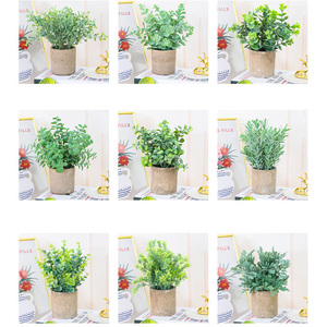 Mini plantes <span class=keywords><strong>de</strong></span> romarin <span class=keywords><strong>de</strong></span> verdure artificielle PE <span class=keywords><strong>en</strong></span> <span class=keywords><strong>pot</strong></span> fausses plantes pour la décoration intérieure pour étagère bureau salle <span class=keywords><strong>de</strong></span> bain Table basse Graduation - Product Image 5