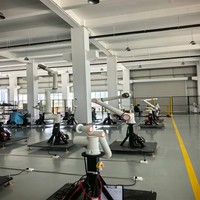 Brazo Robótico de Pintura por Pulverización, Manipulador Robótico Cobot de 6 Ejes para Recubrimiento de Superficies de Automóviles y Muebles, Decoración Automotriz