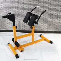 Bodybuilding Solide Deux en Un Chaise Romaine Extension Arrière Fitness Machine Dos Hyperextension Équipement