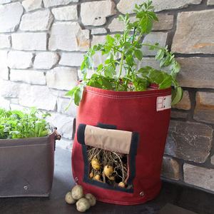 sac de plantation biodégradable <span class=keywords><strong>feutre</strong></span> pousser plante jardin sac en plastique sac de culture pour les plantes végétales - Product Image 4