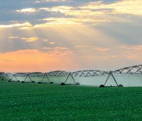 Système d'irrigation par aspersion linéaire à déplacement latéral pour grandes exploitations agricoles, économie d'eau, couverture de 98 %, distribution uniforme