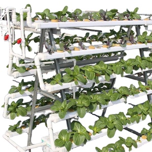 Plant Growing Custom Sized Agricultural Equipment Construction Hydroponics System Complete Hydroponics System - Product Image 2