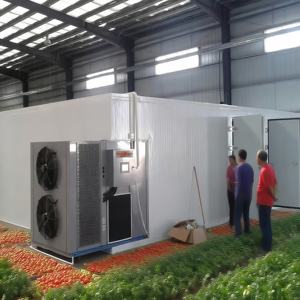 مجفف طعام صناعي بفرن ومضخة حرارية موفر للطاقة لتجفيف الخضروات والفواكه مع وحدة تحكم PLC لتجفيف البطاطس ومعتمد بشهادة CE - Product Image 1