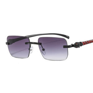 Unisexe nouvelle mode petite taille rectangle lunettes <span class=keywords><strong>de</strong></span> <span class=keywords><strong>soleil</strong></span> femmes tête <span class=keywords><strong>de</strong></span> léopard lunettes <span class=keywords><strong>de</strong></span> <span class=keywords><strong>soleil</strong></span> <span class=keywords><strong>de</strong></span> luxe pour hommes - Product Image 3