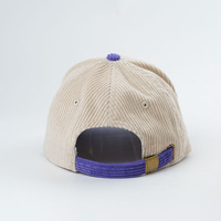 Gorra de béisbol de 5 paneles personalizada ajustable deportiva no estructurada Logotipo bordado del fabricante Punto de leopardo Oxford de pana de dos tonos