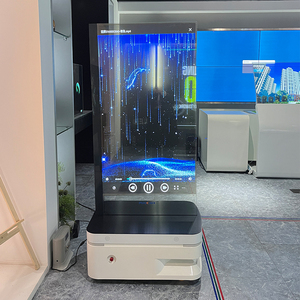 55 inch 200-600 CD/m² airship di động màn hình cảm ứng OLED màn hình Giao diện USB hiệu suất Màu sắc phong phú cho robot quảng cáo mới - Product Image 6