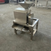 Industriële MA Perzik Mango Ontpit- en Purificatiemachine Jujube Kersen Durian Pruimen Fruitpuree Maker Ontpit- en Klopapparaat 380V