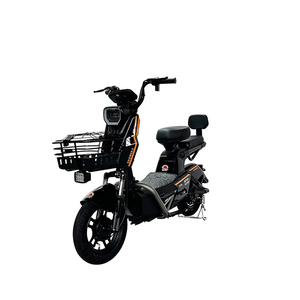Vélo Électrique d'Occasion 24V pour Adultes, Modèle 2023, avec Moteur, pour le Canada, 12, 24 et 29 Pouces, Pièces et Accessoires pour Vélos Chinois - Product Image 2