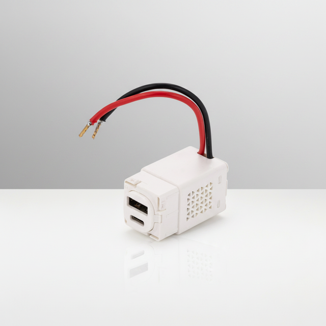 Clipol AS/NZS SAA Australia Dual USB PD20W 5V 3A Type-C Fast Charging Wall Switch Socket
