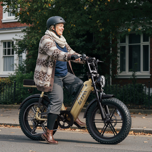 Nuova Bici Elettrica da Città per Donne e Adulti, con Pneumatici Fat, 750W 250W, Disponibile nel Magazzino Europeo - Product Image 2