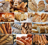 Trancheuse à baguettes automatique 60 cm avec convoyeur, machine à couper le pain français industrielle et commerciale pour boulangerie