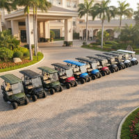 Carrito de golf eléctrico de 8 pasajeros con batería de litio, profesional, personalizado, todoterreno, para visitas turísticas en campos de golf.