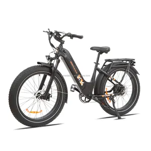 Netherlands Warehouse Ready Stock Electric Bicycle 750w 20inch Fat Tire E-bike 250w 25km/h Electric Bike Adult Fatbike