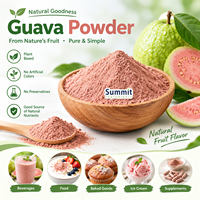 Puur natuurlijk wateroplosbaar gesproeid en gevriesdroogd roze guavapoeder, wateroplosbaar fruitpoeder voor bakkerijen en voedselverwerking