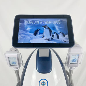 Masseur de corps Machine de réduction de graisse à double menton - Product Image 5