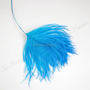 Plumes d'autruche rayées de haute qualité, 40-45 cm (16-18 po), pour décoration de costumes de carnaval, couleurs personnalisées - Product Image 2