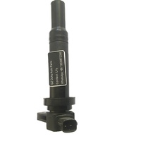 Bobine d'allumage haute performance 27301-3E400/273013E400 pour système d'allumage 07-09 Santa Fe Optima Rondo 2.7L