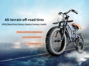 จักรยานไฟฟ้าปี 2024 จากผู้ผลิตในยุโรปและสหรัฐอเมริกา พร้อมมอเตอร์และระบบช่วยปั่น สำหรับผู้หญิงและผู้ชาย - Product Image 4