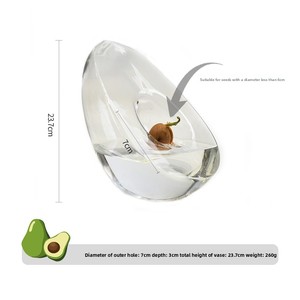 <span class=keywords><strong>Vase</strong></span> hydroponique moderne en verre en forme d'<span class=keywords><strong>avocat</strong></span> conteneur de plantation et de culture de graines <span class=keywords><strong>Vase</strong></span> spécial Pot jardinage - Product Image 6