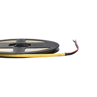 Bande LED pleine couleur 120 LED/m RGB adressable et flexible pour enseignes lumineuses DIY