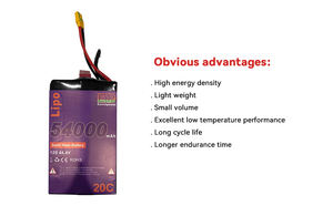 بطارية ليبو ذات الحالة الصلبة مخصصة من المصنع من من من من المصنع من من من من طراز v 6S 12S 14s 30 أمبير 40 أمبير في الساعة 54Ah للطائرات بدون طيار - Product Image 4