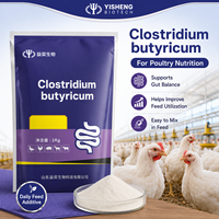 10 milliards de CFU/g Clostridium Butyricum Poudre Jaune Clair Additif Alimentaire Probiotique pour Volailles Élevage de Poulets OEM Marque Privée