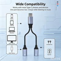 Adaptateur audio USB-C vers 3,5 mm avec coque en alliage d'aluminium 2 en 1 et câble tressé pour ordinateur, téléphone et ordinateur portable