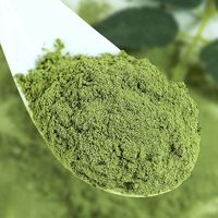 Extrait de menthe poivrée naturel en poudre 10:1 de qualité alimentaire avec menthol, fourni en gros par l'usine