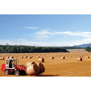 Neumático Agrícola 15.5/80-24 Radial Para Reemplazo de Tractor - Product Image 5