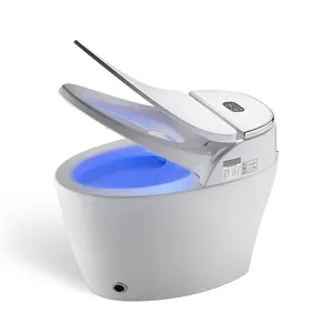 Toilettes intelligentes électriques modernes 110v 220v Wc cuvette de toilette de luxe capteur automatique de pied toilettes intelligentes
