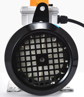 Pompe à engrenages électrique portative mini en fonte, auto-amorçante pour le transfert de diesel/huile usagée 12V/24V/220V, adaptée aux liquides à haute viscosité