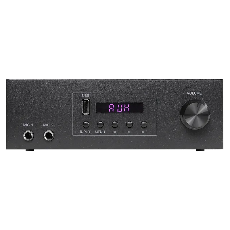 Amplificatore dell'altoparlante del sistema Home Theater Stereo Audio a 2 canali di vendita caldo AV-210