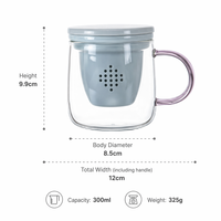 Verre à café glacé en borosilicate de 300 ml avec infuseur et couvercle, tasse à jus résistante à la chaleur avec poignée pour le bureau et la maison