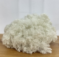 HCS 7D 51mm Gerecycled Polyester Holle Conjugated Siliconized Vezel voor Export en Binnenlandse Productie, Klaar voor Export naar Nederland