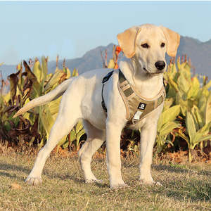 Harnais réfléchissant pour chien réglable confortable personnalisé en gros Harnais pour animaux de compagnie en plein air - Product Image 2