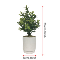 Offre Spéciale intérieur artificiel Faux arbre tropical PE matériel en plastique en pot avec d'autres plantes de fleurs décoratives pour la décoration intérieure