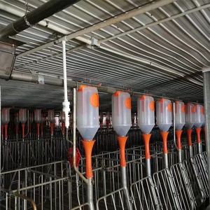 Diseño moderno cerdo jaulas de gestación prohibido equipos agrícolas - Product Image 3