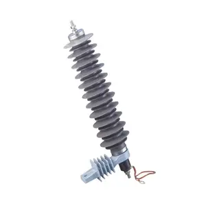 HOGN פולימרית HousedMetal-תחמוצת Surge Arrester ללא פערים נומינלי פריקה הנוכחי 10 KA (יצוא) 33 kV