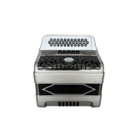 SEASOUND Accordéon Diatonique Professionnel en Bois OEM 34 Boutons 12 Basses 5 Registres Corps Argenté Grille Noire JB3412D