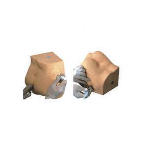 Hemşirelik öğrenciler eğitim mankeni İnsan anatomisi kas içi enjeksiyon simülatörü anatomik kalça enjeksiyon modeli - Product Image 2