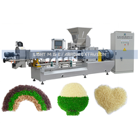 Riz de pomme de terre fécule de pomme de terre Ligne de production de riz Riz enrichi Machine d'extrudeuse de konjac nutritionnelle