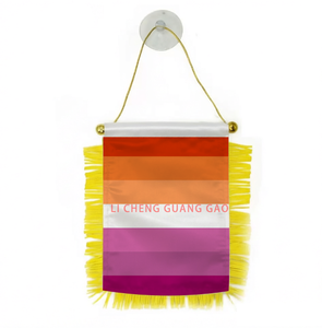 Drapeau miniature personnalisé « Victoire sur le SIDA » à succès – Série arc-en-ciel <span class=keywords><strong>LGBT</strong></span>, design suspendu avec ventouse pour décoration de voiture - Product Image 4